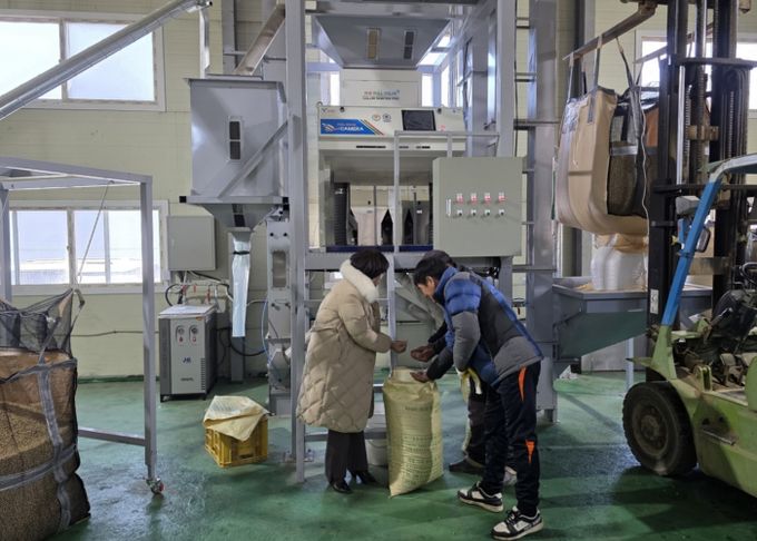 고품질 경기콩, 색채선별기로 품질과 효율 ‘두 마리 토끼’ 잡다