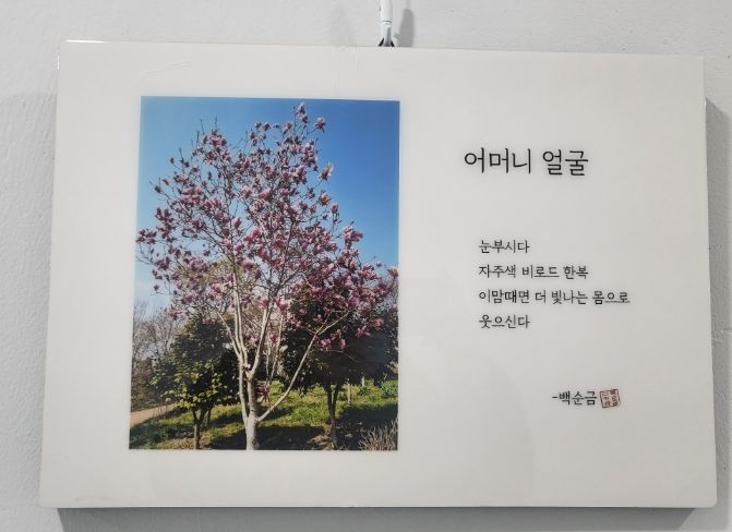 다시봄 갤러리 12월 보훈가족 디카시 작품전