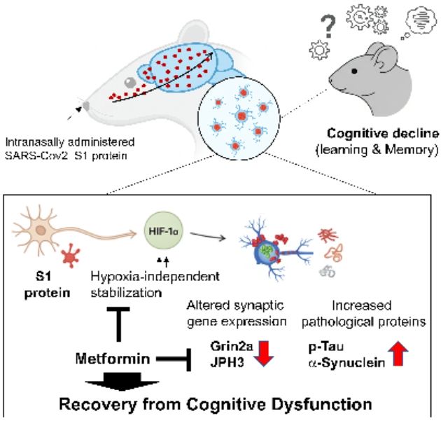 연구 내용 요약도