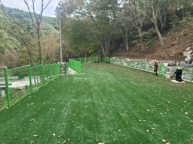 산삼자연휴양림 반려견놀이터 전경사진