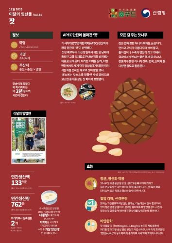 2025 이달의 임산물-12월 `잣`