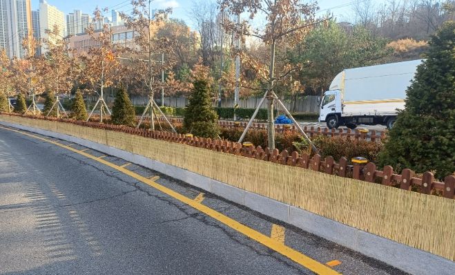 겨울철 강풍·한파 대비 가로녹지 보호 작업