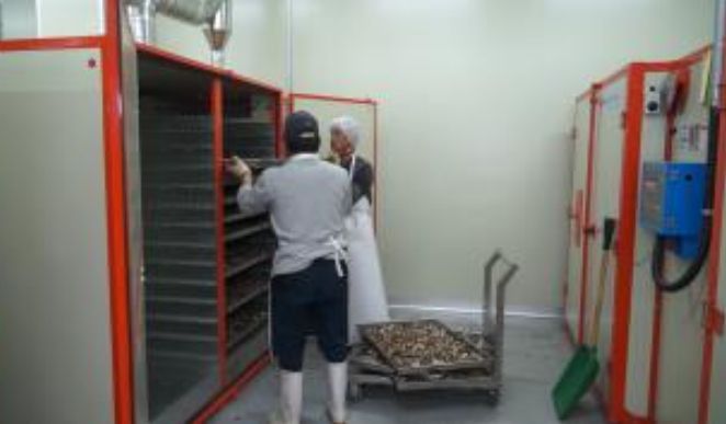 약용작물(백출) 건조