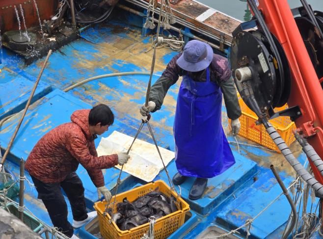 수산자원보호 직불금–어업 활동 사진