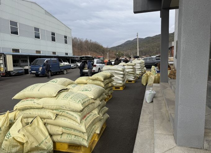 군위군-황남빵 팥 계약재배 물량 25톤 수매(팥 수매 현장)