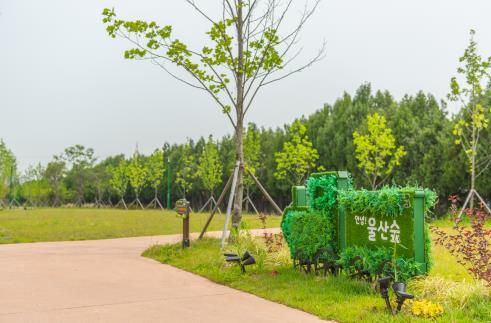 북구, 울산숲 조성 등 구정 베스트사업 선정