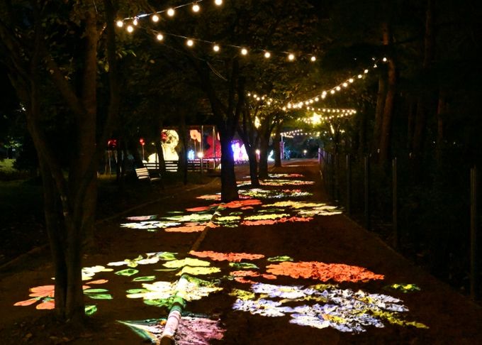 구리시, ‘2025 구리 빛 축제’ 12월 31일까지 연장 운영