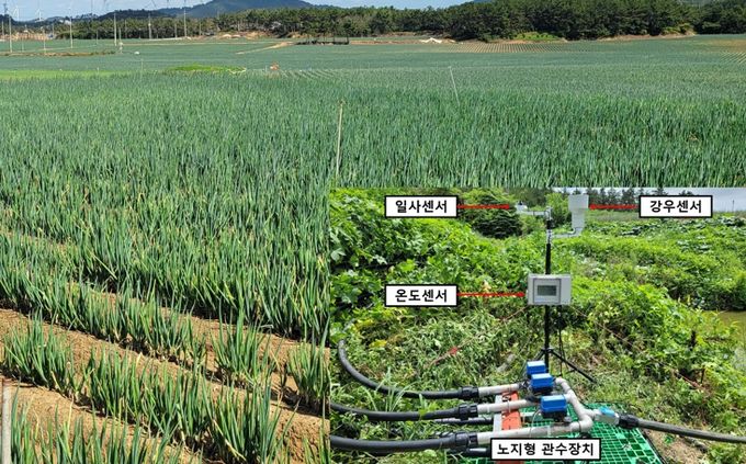 노지채소 스마트 물관리 장치