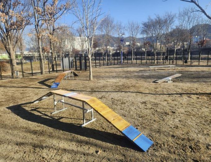 양구군, 반려견과 함께하는 '자연놀이터' 조성 완료