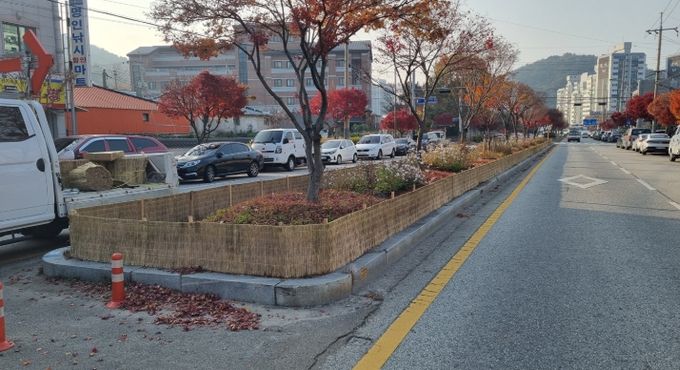 정읍시, 겨울철 가로수 지킴이 ‘방풍막’ 설치 완료