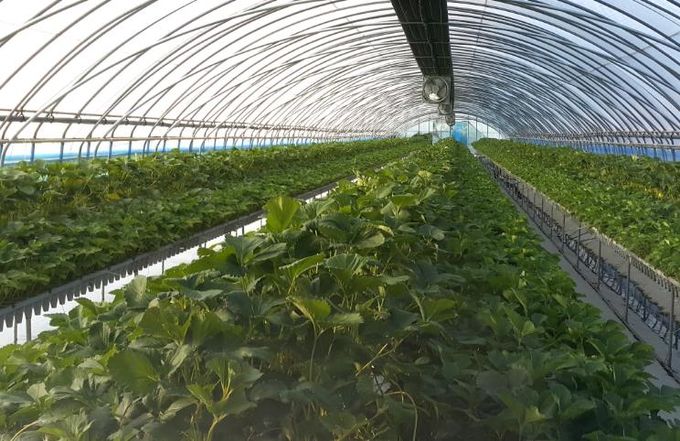 순창군, 친환경농산물 생산장려금 등 24억 8천만원 지급