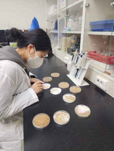 진안군, 2026년 벼 종자 발아율 검사 무료 실시 첫발