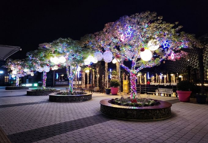 거제식물원 야간 경관조명 설치로 관람 만족도 향상