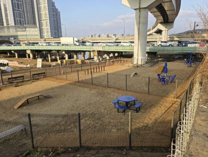 용인특례시가 처인구 경안천 산책로에 반려견 놀이터를 조성했다.