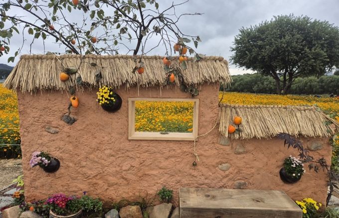 2025 대구정원박람회 전시 당시 사진