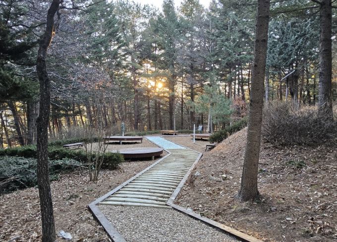 정선군, 비봉산 산림공원 조성 완료 ‘쉼과 치유의 공간 제공’