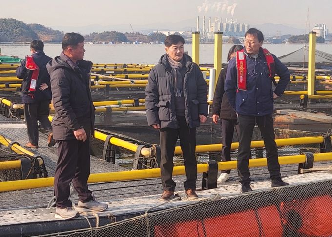 저수온 현장점검