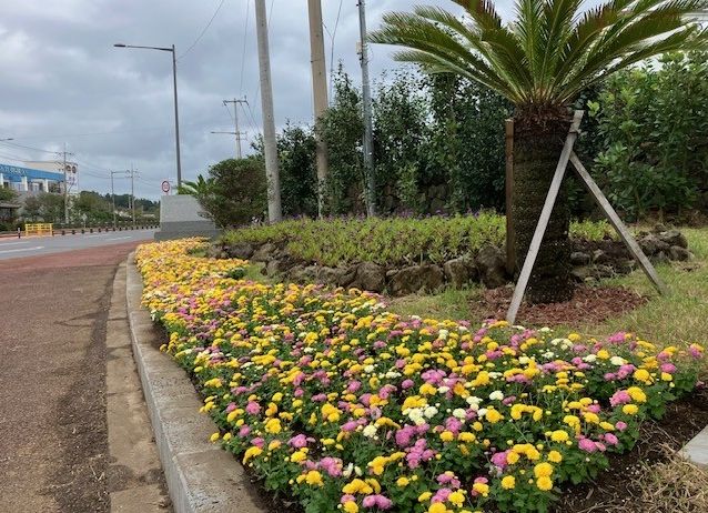 사계절 꽃 경관 조성(가을)