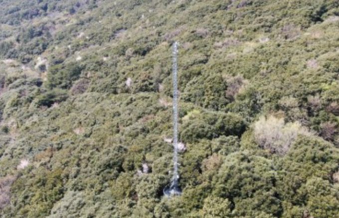 산림 플럭스타워(완도)