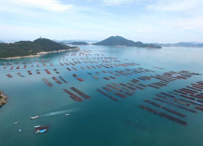 완도 전복 양식장 전경