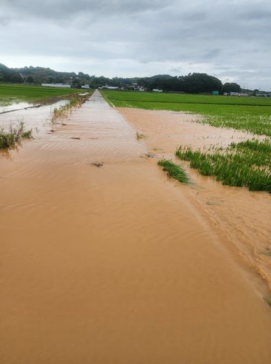 작년 7월 누동지구, 죽림지구 침수 피해 현장 모습.