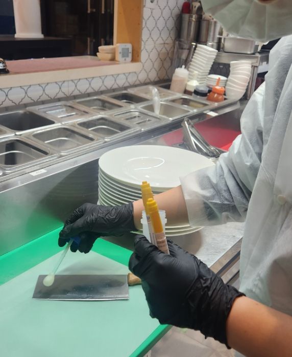 대전 서구 식중독 예방 방문 점검