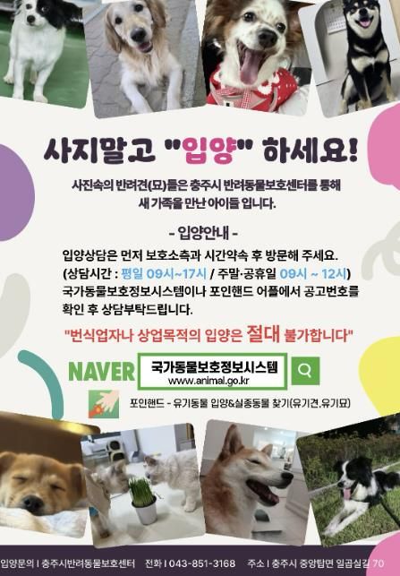 충주시, 유실·유기동물 입양비 지원으로 입양 활성화