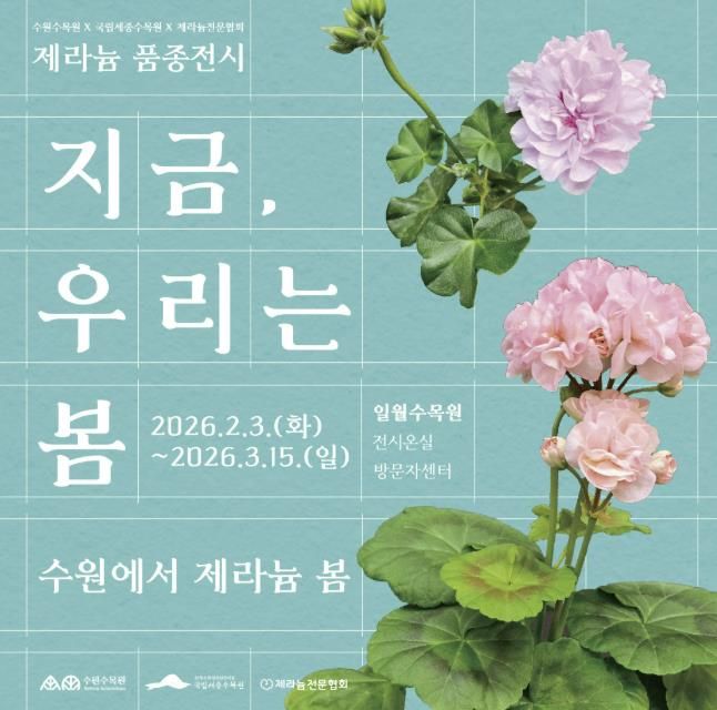 수원수목원 제라늄 기획전 홍보물.