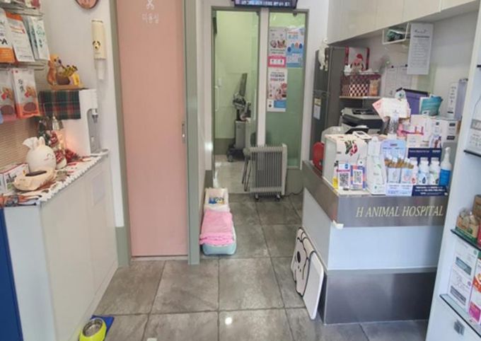 우리동네 펫위탁소 ‘H동물병원’ 운영 사진
