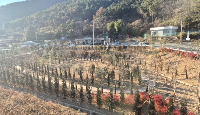 고성군, 유휴부지를 녹색 쉼터로 탈바꿈