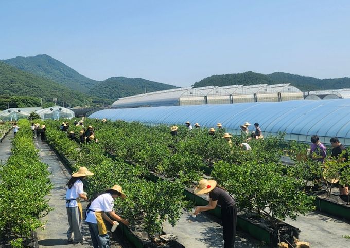 청년 여성농업인 농작업