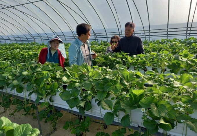 영농현장 맞춤 컨설팅.