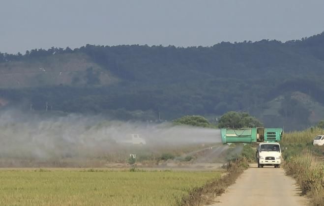 벼에 방제 약제가 살포되는 모습