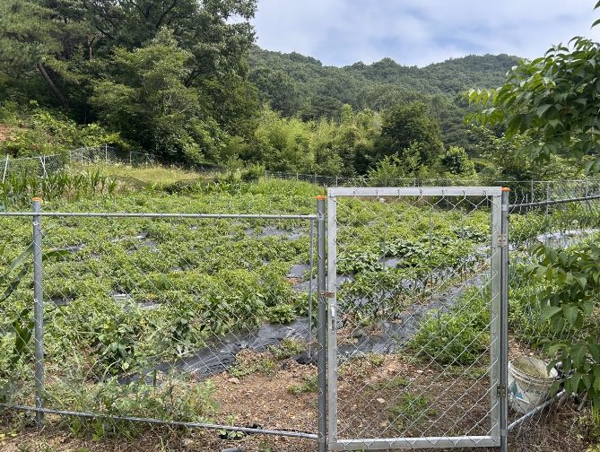 철망 울타리가 설치된 농지