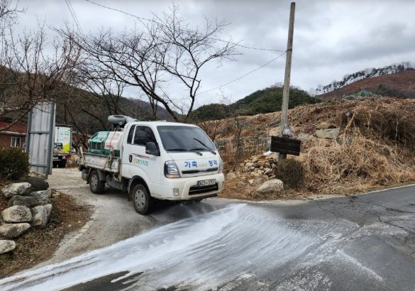 합천 발생지 방역
