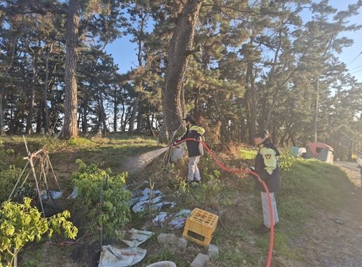 울산 중부소방서 남․여성의용소방대 정월대보름 대비 화재 예방순찰