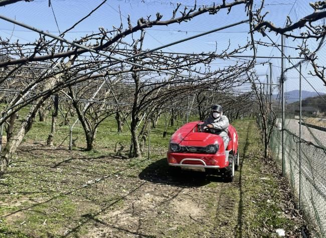 함양군, 과수화상병 예방 약제 적기 살포 당부