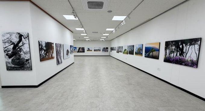 송암 최우현 작가 사진