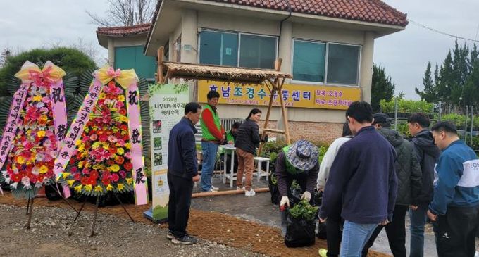 나무나누어주기행사