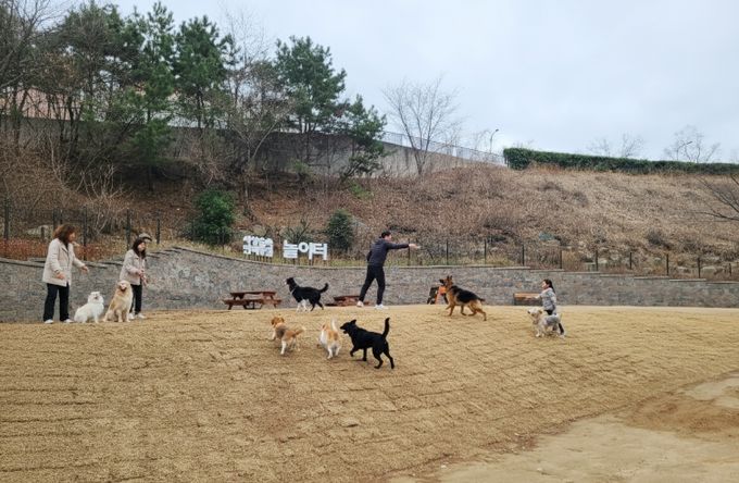 사상숲속반려동물 놀이터