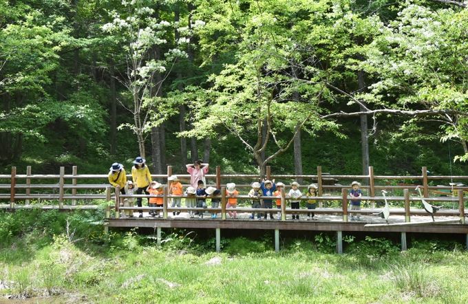 산소카페 청송군, 2026 산림정책 발표-유아숲 운영