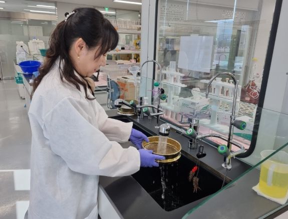 농산물안전분석센터 토양검정 담당자가 체가름법으로 성토토양 모래함량을 분석하고 있는 모습