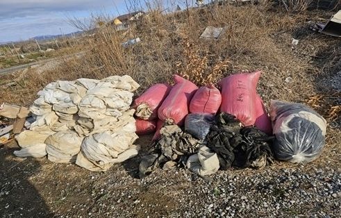 올해 흥해읍에서 배출한 영농폐기물 사진