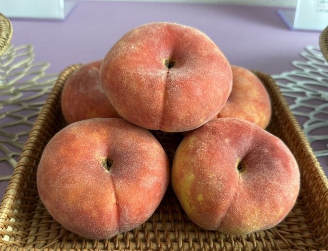 경북농업기술원, 복숭아 2가지 신품종 품종보호출원