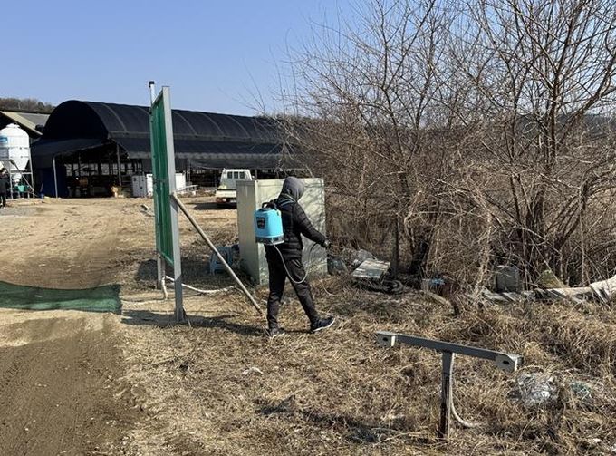 파주시, 축사 주변 해빙기 방역사업 추진