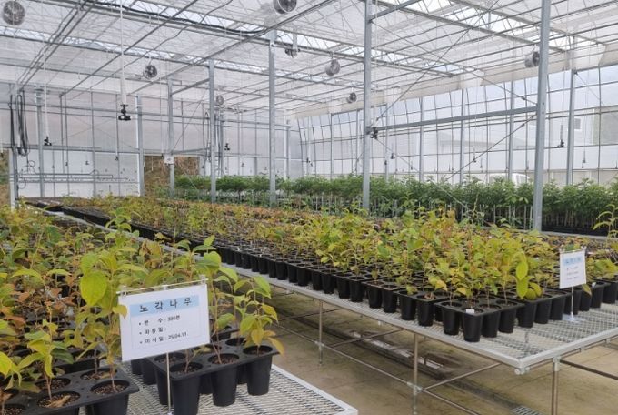 ‘디지털 기반 산림자원 원물 양성화’ 공모사업