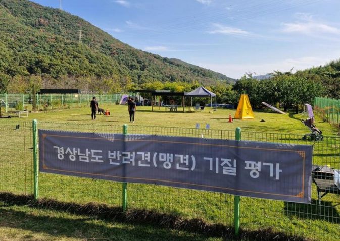 2026년도 맹견기질평가 장소