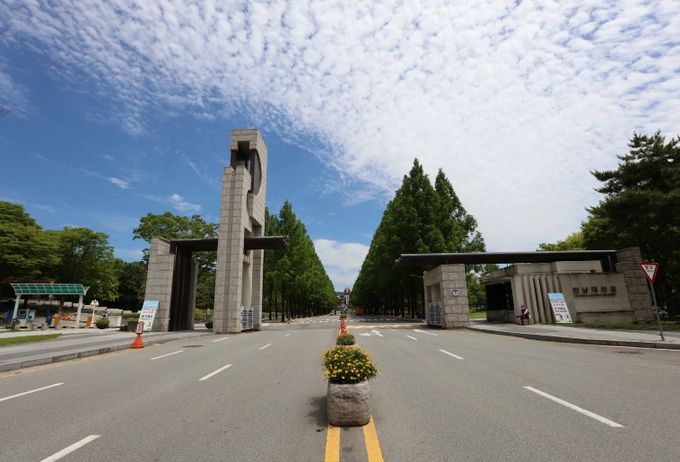 봄꽃 캠퍼스서 518 마라톤