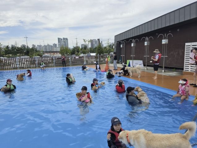 시흥시 월곶에코피아 수영장에서 반려동물 수영 문화교실 ‘멍푸멍푸’가 열리고 있다.