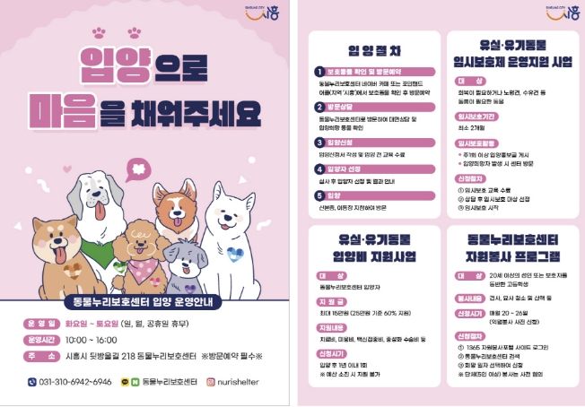 반려동물 입양 홍보 전단